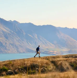 migrants-speak-nz-auckland-queenstown-website-developer