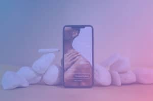 Building-Your-Web-Presence-Webflow-or-WordPress