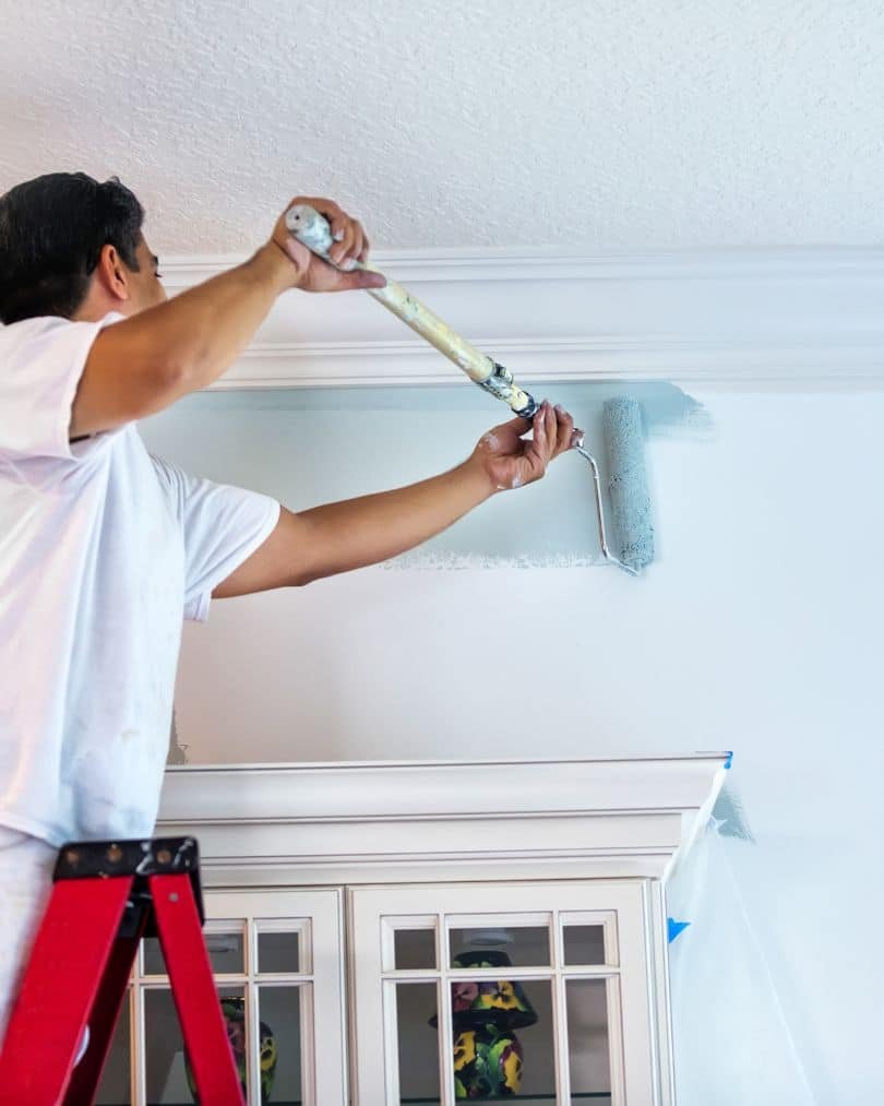 Small Business Website Design NZ 1 small-business-website-development-new-zealand